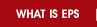 WHAT IS ESP